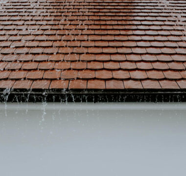 Pas nadrynnowy na wymiar - kiedy warto się na niego zdecydować?