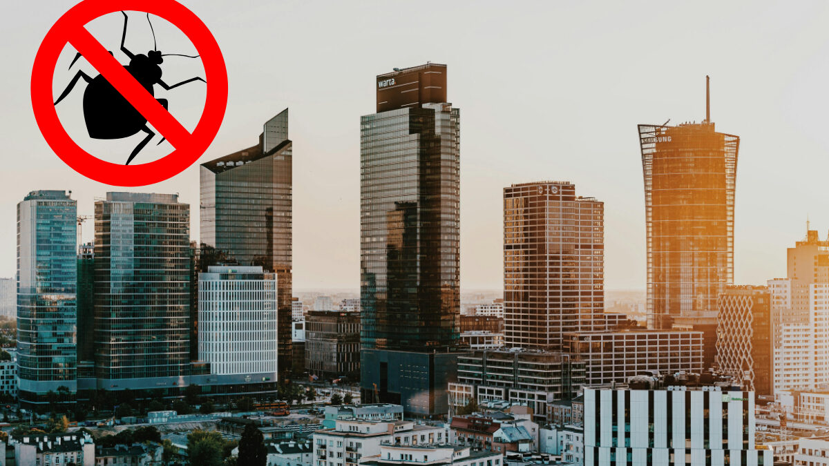 Pluskwy w domu? Tego błędu lepiej nie popełniać