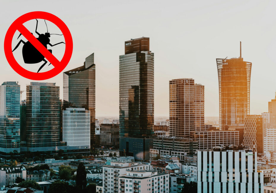 Pluskwy w domu? Tego błędu lepiej nie popełniać